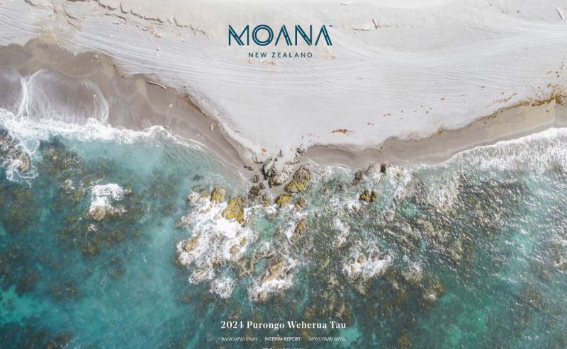 Cover-IR-2024