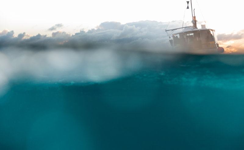 Moana_FinFish_Place_Whitanga_1349.webp