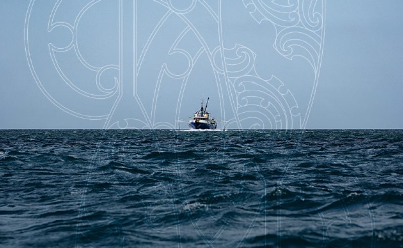 website_image